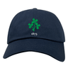The Nations of Rugby Ireland Vintage Dad Cap by EMB S&S Activewear features a green clover and "1875" in an embroidered vintage design on the front.