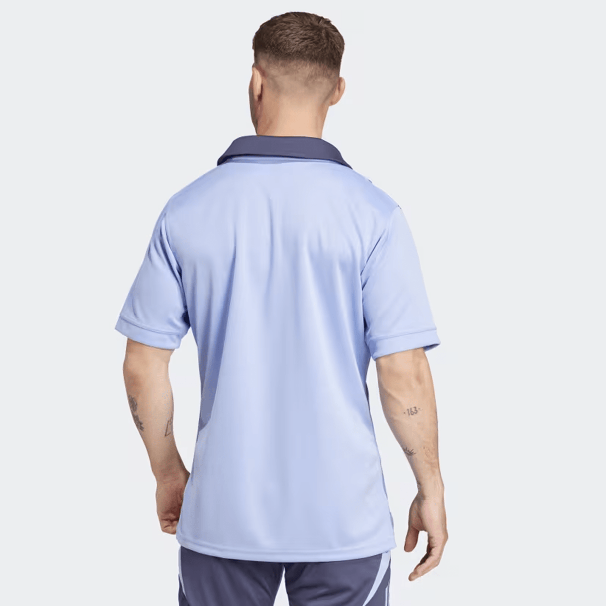 A person wearing a light blue short-sleeve polo shirt and dark shorts stands back to the camera against a plain background, subtly reminiscent of the adidas All Blacks 24/25 Training Jersey.