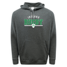 The Nations of Rugby Ireland Wordmark 60/40 Pullover Hoodie by WRS Augusta is a dark gray hoodie with a front pocket, emblazoned with "Ireland Rugby," a rugby ball, and shamrock emblem in green and white on the chest. This essential piece proudly displays your support for the Nations of Rugby.