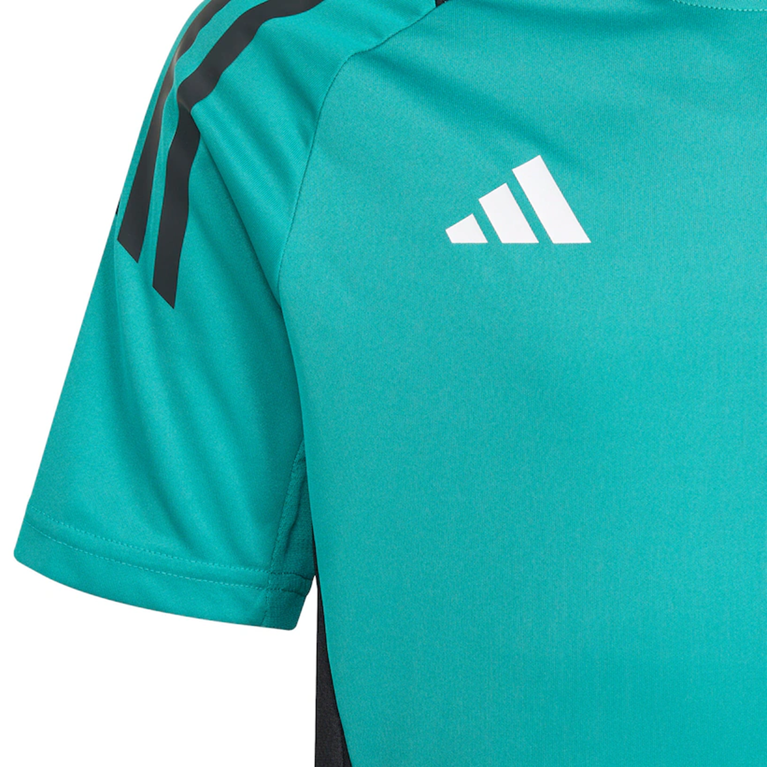The All Blacks 25/26 Performance T-Shirt by adidas features a teal color, black shoulder stripes, a white adidas chest logo, and classic All Blacks style.