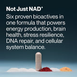 A Momentous Longevity capsule stands upright among three powder piles, highlighting its support for energy, brain health, NAD⁺, stress relief, DNA repair, and cellular balance from the brand Momentous.