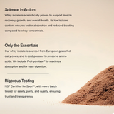 Momentous Grass Fed Whey - Chocolate (25 servings) is sourced from European grass-fed dairy and NSF-certified for safety and quality, ensuring optimal protein recovery.