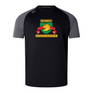 Baltimore Chesapeake Brumbies Elite Training Tee by Canterbury