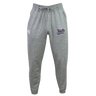 The Valley Panthers Girls Rugby Leisure Sweatpant by EMB Canterbury features a gray design with a drawstring waist, crafted from recycled polyester and organic cotton for an eco-friendly feel. These sweatpants display a white EMB Canterbury logo on the right thigh and a purple “Valley Panthers” graphic on the left thigh, set against a plain white background.