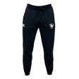 The Woodlands Rugby Leisure Sweatpant by EMB Canterbury are black joggers made from recycled polyester, featuring a drawstring waistband and two white front logos: "cc" and a shamrock with "Ireland Rugby." Stylish, sustainable leisurewear.