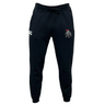 The Birmingham Iron Women's Football Leisure Sweatpant by EMB Canterbury features a drawstring waist, organic cotton comfort, a white "CCC" logo on the left thigh, and a crest with "RON" and red lion on the right. Stylish and sustainable.
