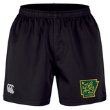 The Arkansas Gryphons Professional Short 2.0 by EMB Canterbury features a black athletic design with an elastic waistband, highlighted by a white Canterbury logo on the left leg and a green and yellow Arkansas gryphon emblem with “est. 2006” on the right leg—delivering both style and quality for every athlete.