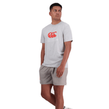 A person stands wearing a grey Canterbury of New Zealand Logo T-Shirt by Canterbury and matching grey shorts against a plain white background.