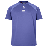 The Ireland 25/26 Six Nations Elite Training Tee by Canterbury features short sleeves, purple design with light accents, and IRFU plus Canterbury chest logos—ideal for rugby training.