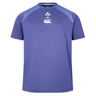 The Ireland 25/26 Six Nations Elite Training Tee by Canterbury features short sleeves, purple design with light accents, and IRFU plus Canterbury chest logos—ideal for rugby training.
