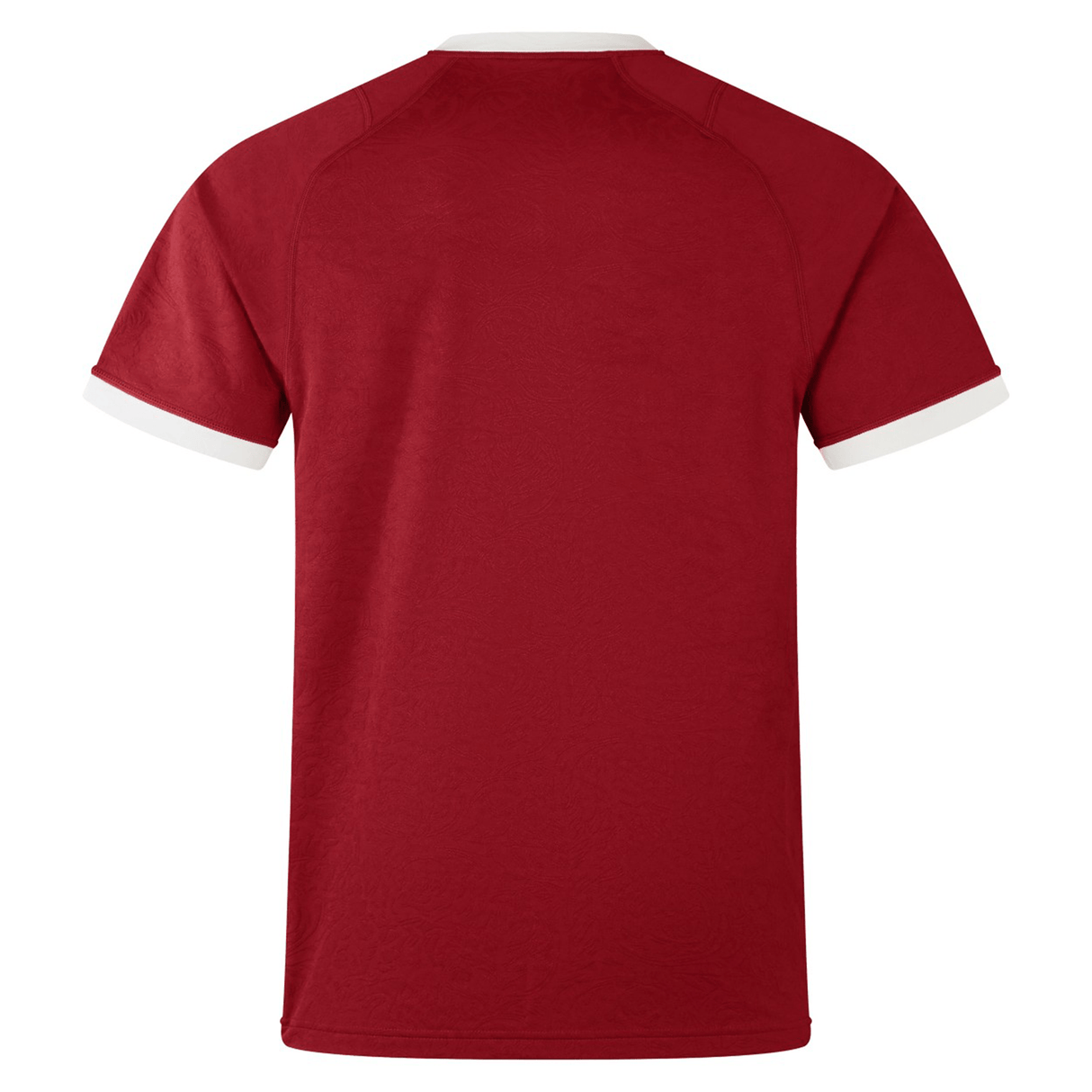 The back view of a plain red short-sleeve t-shirt closely resembles the British & Irish Lions 2025 Players Jersey by Canterbury, highlighted by its white cuffs against an immaculate white backdrop. It is crafted with moisture-wicking fabric to ensure comfort and dryness.