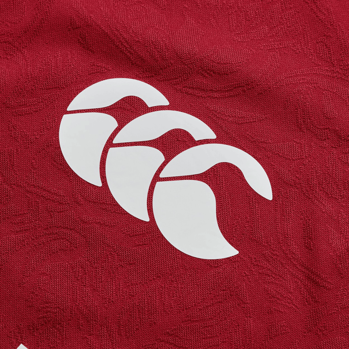 A vibrant red jersey crafted with moisture-wicking fabric features a white logo of three overlapping, stylized waves, capturing the essence of the British & Irish Lions 2025 Players Jersey by Canterbury.