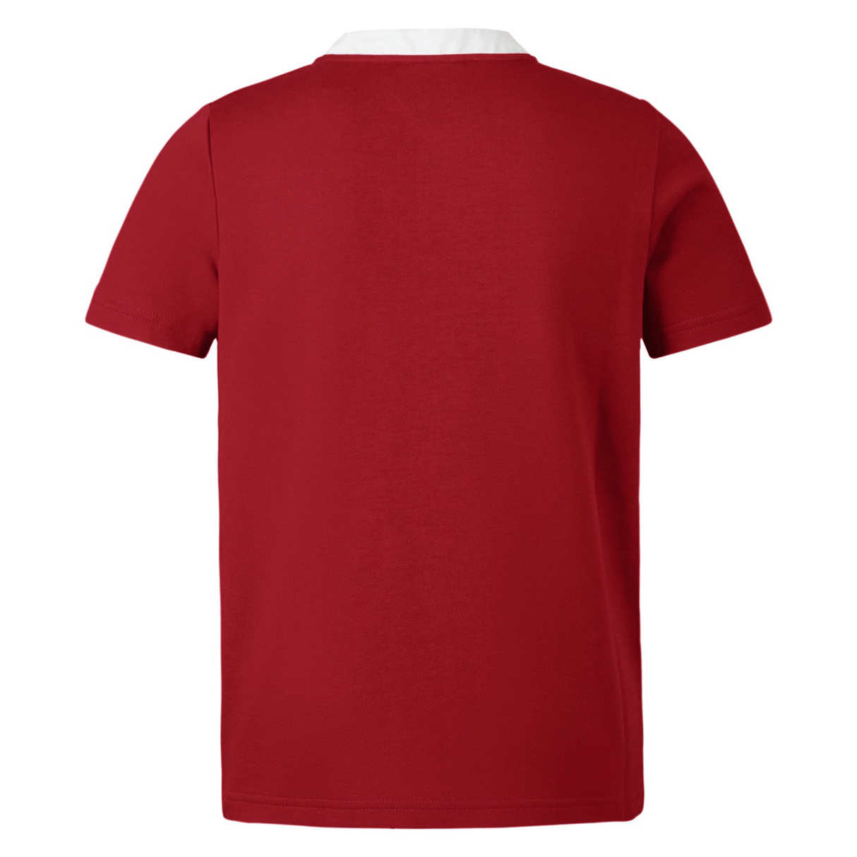 Canterbury★半袖 British & Irish Lions ロゴ トップス Tシャツ British & Irish Lions 25 Classic Jersey by Canterbury