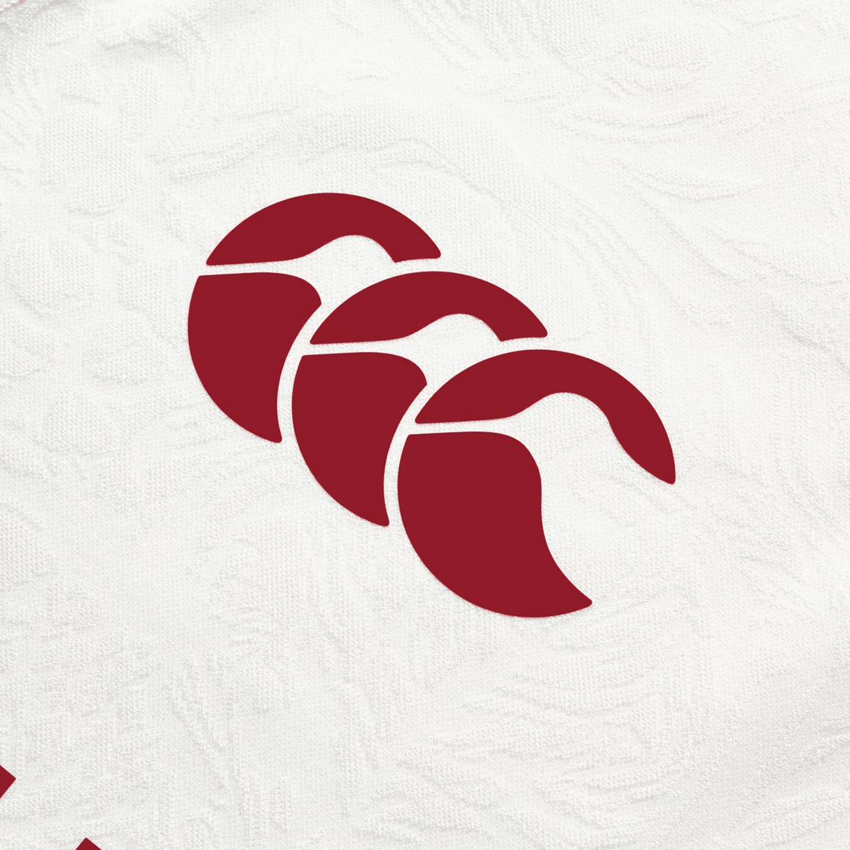 The dynamic energy of the British & Irish Lions 2025 Training Jersey by Canterbury is captured through three red abstract bird shapes on a textured white background.