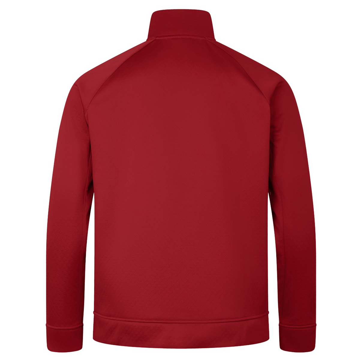Back view of the British & Irish Lions 2025 1/4 Zip Fleece by Canterbury, featuring a plain red design with a high collar and full sleeves, displayed against a white background.