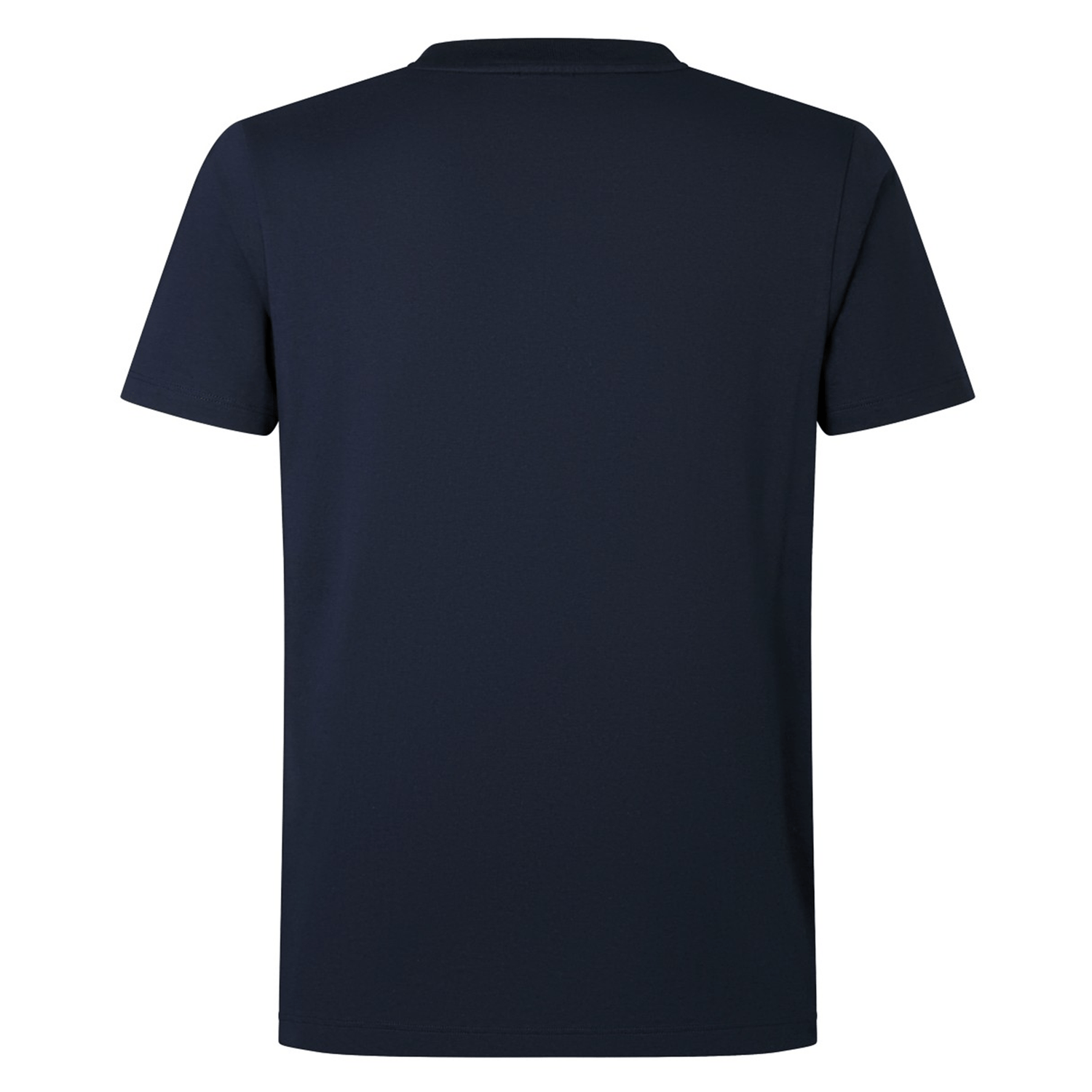 Product Description: The British & Irish Lions 2025 Cotton Jersey Tee by Canterbury, designed in navy blue and made from organic cotton, showcases a back view with short sleeves and a plain design ideal for rugby supporters.