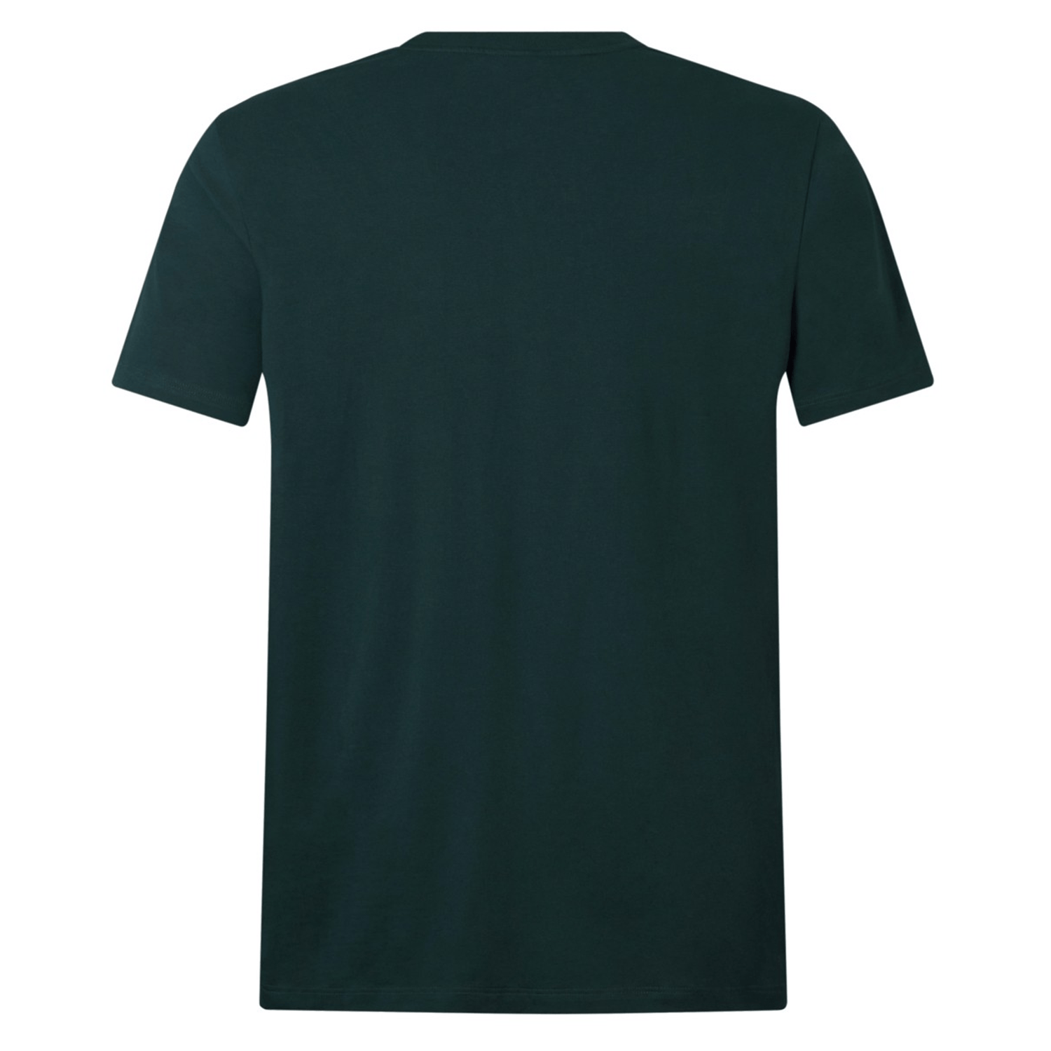 The British & Irish Lions 2025 Cotton Jersey Tee by Canterbury is a plain dark green t-shirt, shown from the back, featuring short sleeves and a round neckline, making it ideal for any rugby supporter.