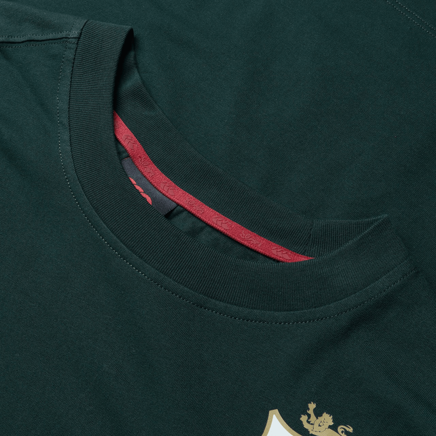 Close-up of the British & Irish Lions 2025 Cotton Jersey Tee by Canterbury, a dark green T-shirt made from organic cotton. It features a red-lined inner collar and a small crest on the front, making it perfect for dedicated rugby supporters who want to embody the spirit of the British & Irish Lions.