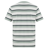 The Fundamental Yarn Dye Stripe T-Shirt by Canterbury features short sleeves and horizontal green, white, and black stripes in a rugby-inspired style, shown from the back.