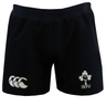 The Ireland 25/26 Training Short by Canterbury features the IRFU logo on the right leg and a white Canterbury logo on the left—a must-have training short for Ireland rugby fans.