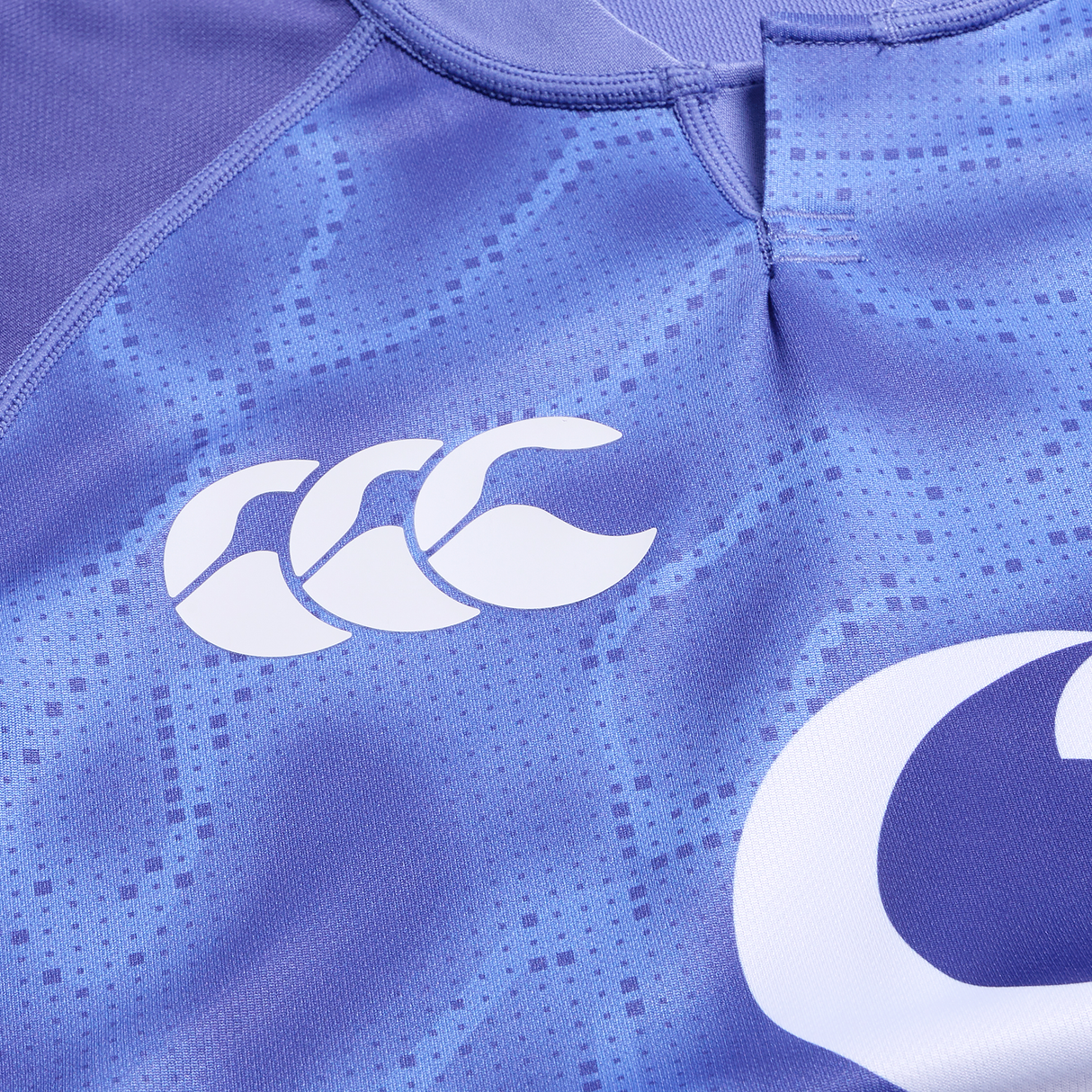 Close-up of the Ireland 25/26 Six Nations Pro Training Jersey by Canterbury in purple, showing the white Canterbury logo and a large white graphic on the right side.