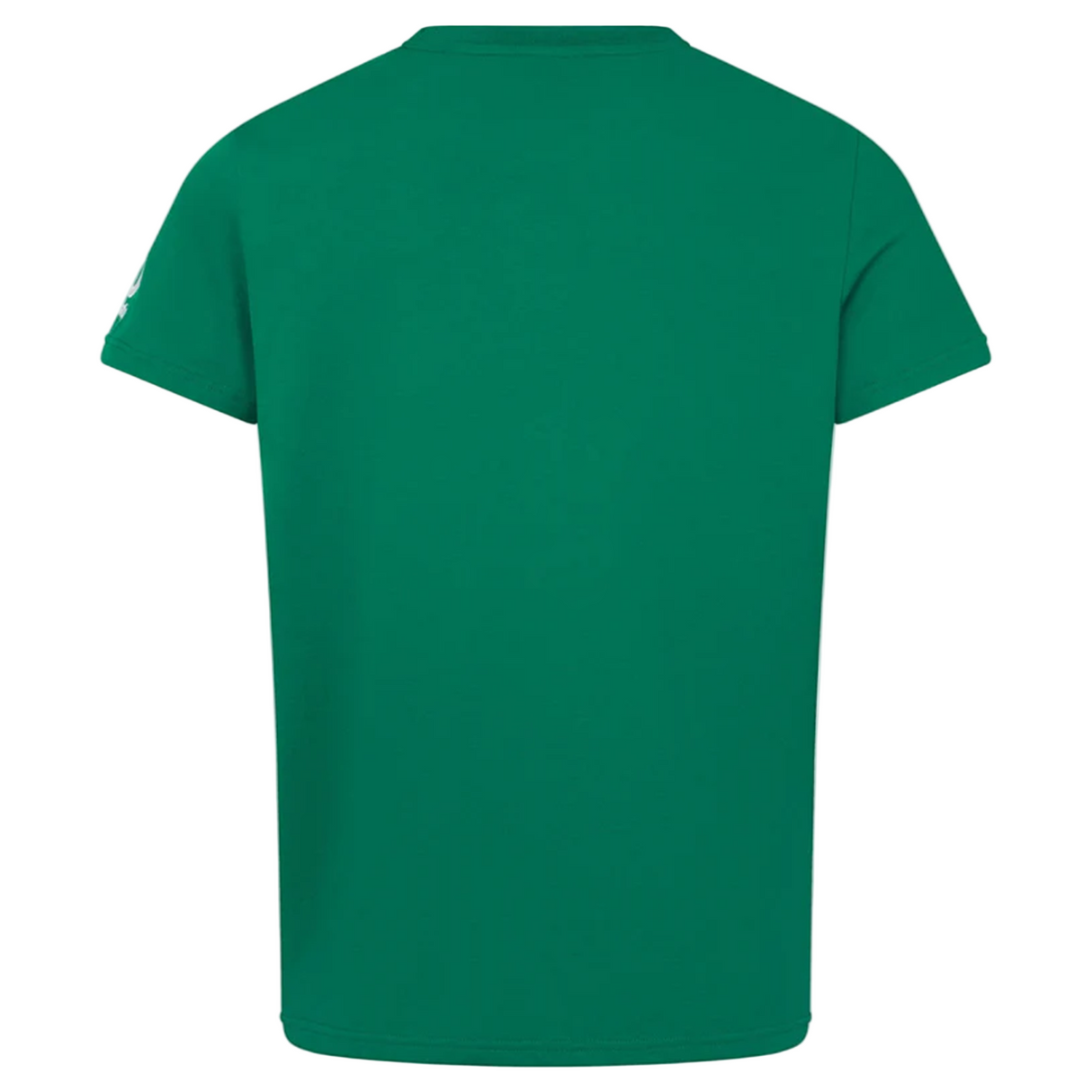The Ireland 25/26 Team Cotton Tee by Canterbury is shown from the back against a white background with a gray border.