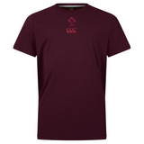 The Ireland 25/26 Team Cotton Tee by Canterbury is a plain maroon short-sleeve shirt with a subtle Canterbury logo and “IRFU” text centered on the chest.
