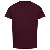 The Ireland 25/26 Team Cotton Tee by Canterbury, in plain maroon with short sleeves, is shown from the back against a white background bordered in gray.