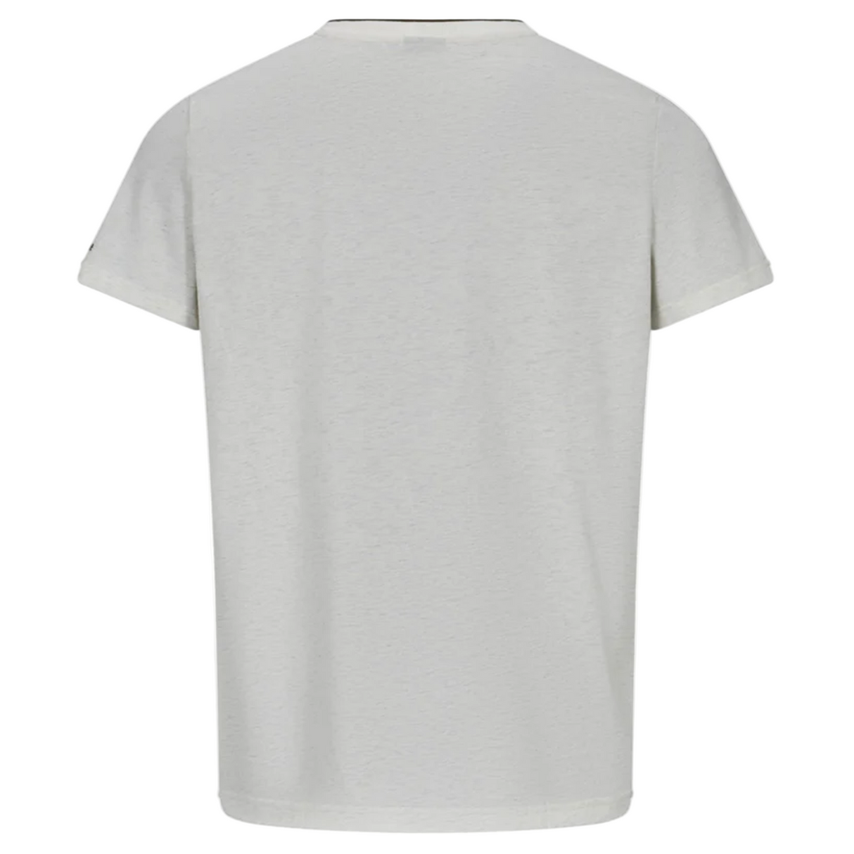 Back view of the Ireland 25/26 Team Cotton Tee by Canterbury, a plain short-sleeve light gray rugby t-shirt, shown against a white background.