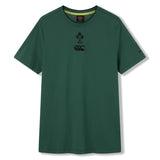 The Ireland 26 Team Cotton T-shirt by Canterbury is a green short-sleeve rugby tee featuring both the IRFU logo and Canterbury logo on the chest, shown against a white background.