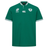 The Ireland WRWC25 Classic Jersey by Canterbury is a green short-sleeve top with Ireland rugby logos and a white Canterbury logo, plus patterned trim—ideal for supporting the Ireland Women's Rugby World Cup 2025 team.