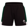 The Ireland Legends 7" Shorts by Canterbury feature green side panels, white accents, and the IRFU logo on the lower right leg—ideal for fans of Ireland shorts.