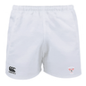 The EMB Canterbury Superior Rugby Club Advantage Rugby Shorts feature moisture-wicking fabric, an elastic waistband, the Canterbury logo on the left leg, and the Superior Rugby logo on the right leg.
