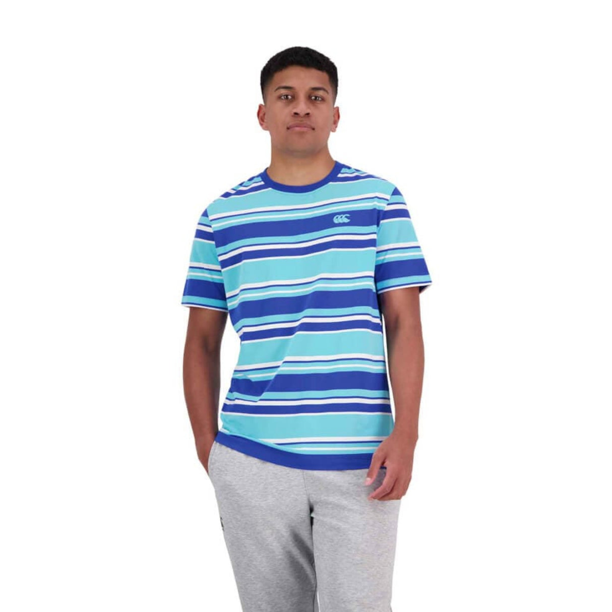 A person stands wearing a blue and white striped Canterbury Yarn Dye T-Shirt made from 100% cotton, paired with gray pants, against a plain white background.