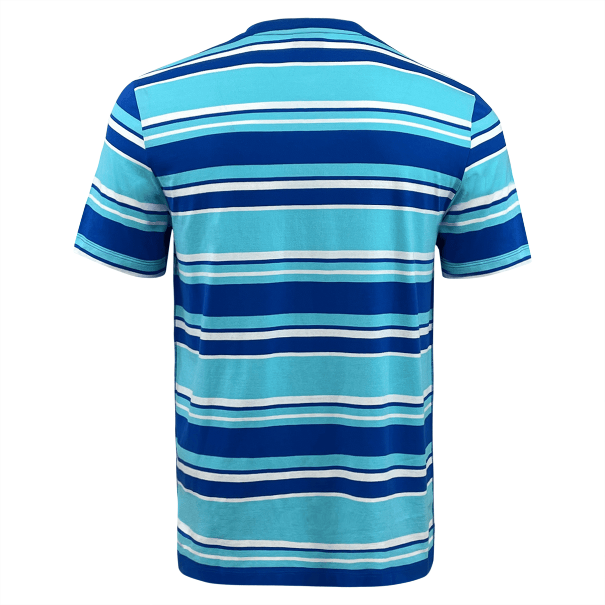 The Canterbury Yarn Dye T-Shirt by Canterbury features horizontal stripes in various shades of blue and white. Made from 100% cotton, this short-sleeved shirt has a classic crew neck design. The image displays the shirt from the back.