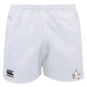 The EMB Canterbury Five Star Rugby Professional Polyester Shorts feature a black Canterbury logo on the left leg and a cartoon penguin crest on the right.