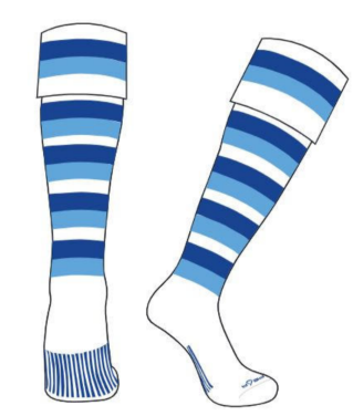 Illustration of Pearsox LOGA Rugby Euro Socks, featuring knee-high length, horizontal blue and white stripes, and a wide white band at the top.