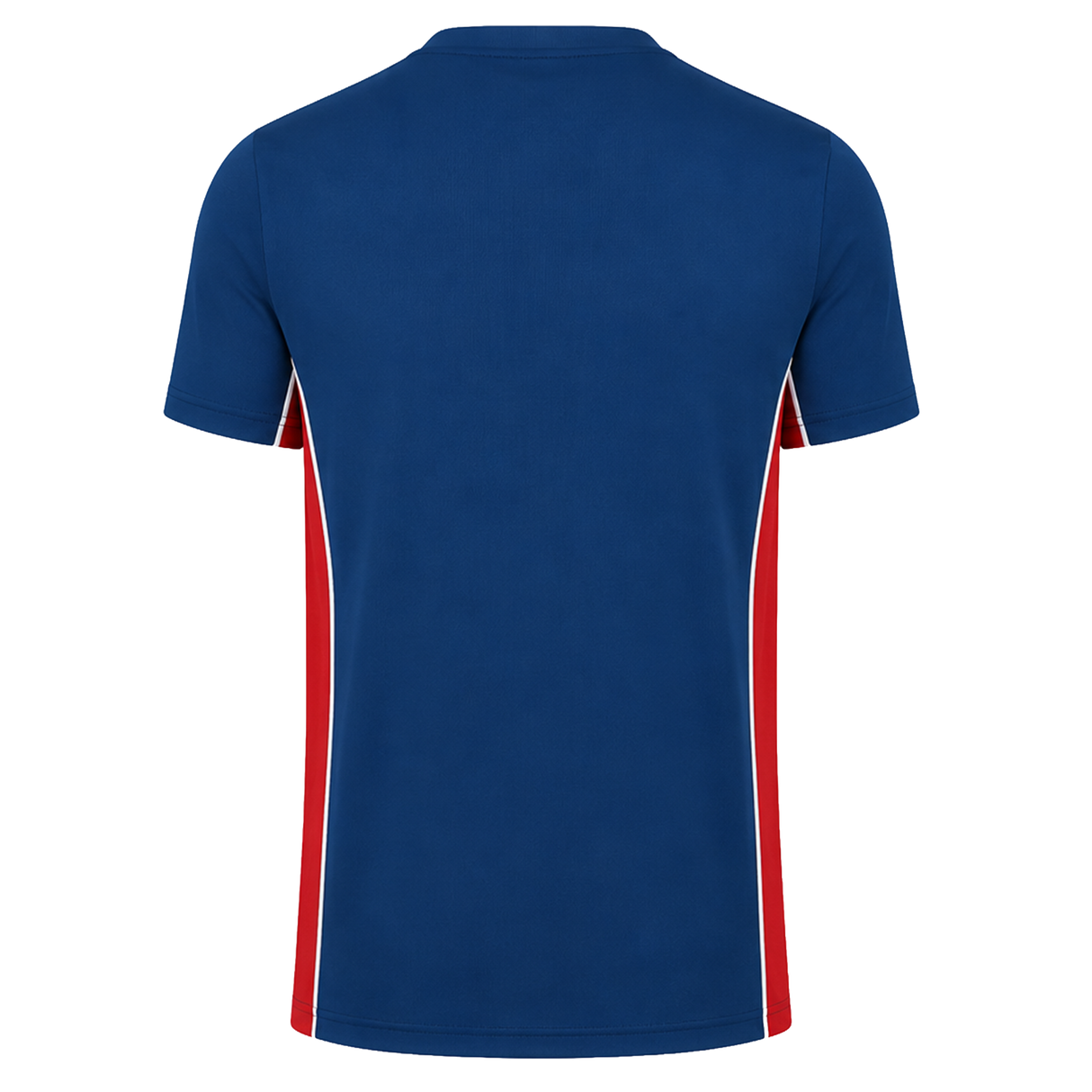 The Scarlets Training Tee 22/23 by Castore is a short-sleeved blue performance shirt with red side panels, displayed from the back on a plain white background.