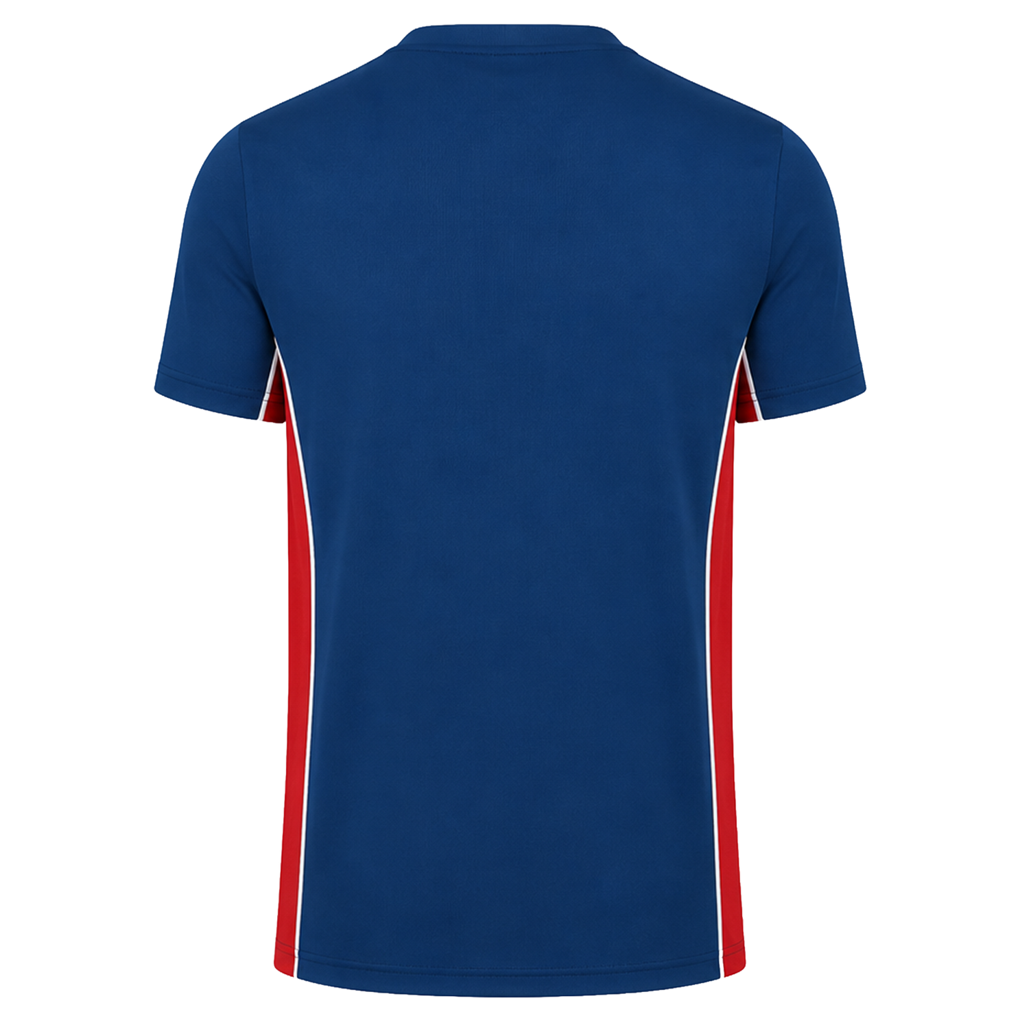 The Scarlets Training Tee 22/23 by Castore is a short-sleeved blue performance shirt with red side panels, displayed from the back on a plain white background.