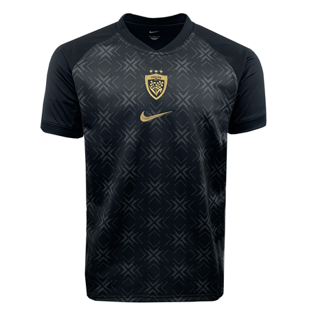 The RC Toulon Stadium Third Jersey by Nike features a gold shield logo, an intricate pattern, and the iconic Nike swoosh, embodying the spirit of RC Toulon's home stadium.