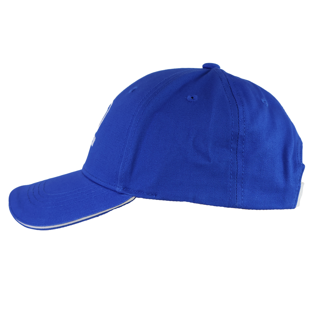 The Leinster Snap Back Cotton Twill Cap 24/25 by Castore is displayed in blue from a side profile against a plain white background.