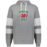 The WRS Augusta Nations of Rugby Wales Jackson Way Hoodie is gray with white drawstrings, two white sleeve stripes, "WALES RUGBY" text, and a red dragon emblem on the chest.