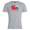 Gray cotton blend Canterbury Wales CCC Flag Club T-shirt featuring a red and white Kiwi logo with three overlapping C's and "canterbury" underneath, by WRS Canterbury.