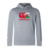 The WRS Canterbury Wales CCC Club Lightweight Hoodie is a gray polyester hoodie with a front logo in red and green, featuring a kangaroo and New Zealand mountain scene. This comfortable hoodie is perfect for any adventure.
