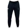 The Washington Irish Rugby Leisure Sweatpant by EMB Canterbury, crafted from organic cotton, showcases a stylish white logo on the left and a distinctive green and red emblem on the right, embodying both style and sustainability.