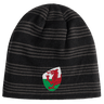 The Wales Shield Beanie by EMB Canterbury is a black and gray striped beanie showcasing a fierce red dragon emblem on a classic white and green shield.