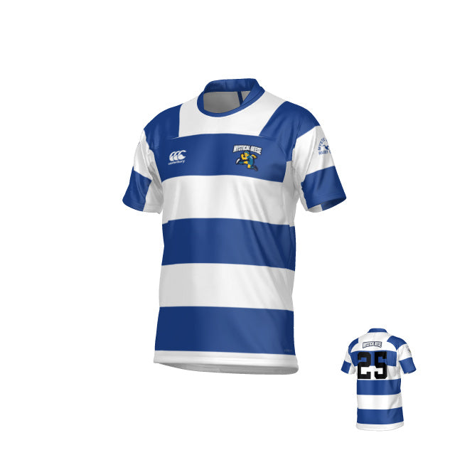 Mystical Geese Hooped Raiona Regular Jersey by Teamatical, featuring blue and white stripes, team logo on the front, and number 25 on the back, shown from both front and rear angles.