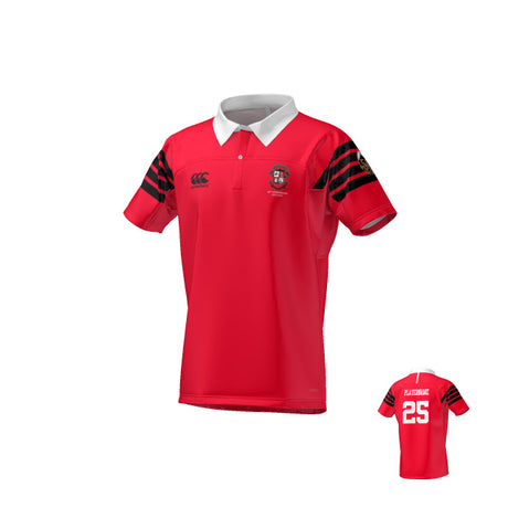 The Teamatical MENS RAGLAN KAHA REGULAR JERSEY features a red body, black striped sleeves, white collar, team crests on the chest, and "PLATINUM ONE" with number 25 in white on the back.