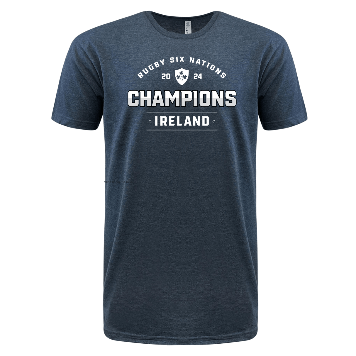 A supersoft, gray Ireland Rugby 6 Nations 2024 Champions tee from WRS LAT.