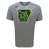The WRS Canterbury Arkansas Gryphons Tempo Vapodri T-Shirt is a gray short-sleeve performance tee with a green and gold griffin inside an Arkansas outline and "est. 2006" below.